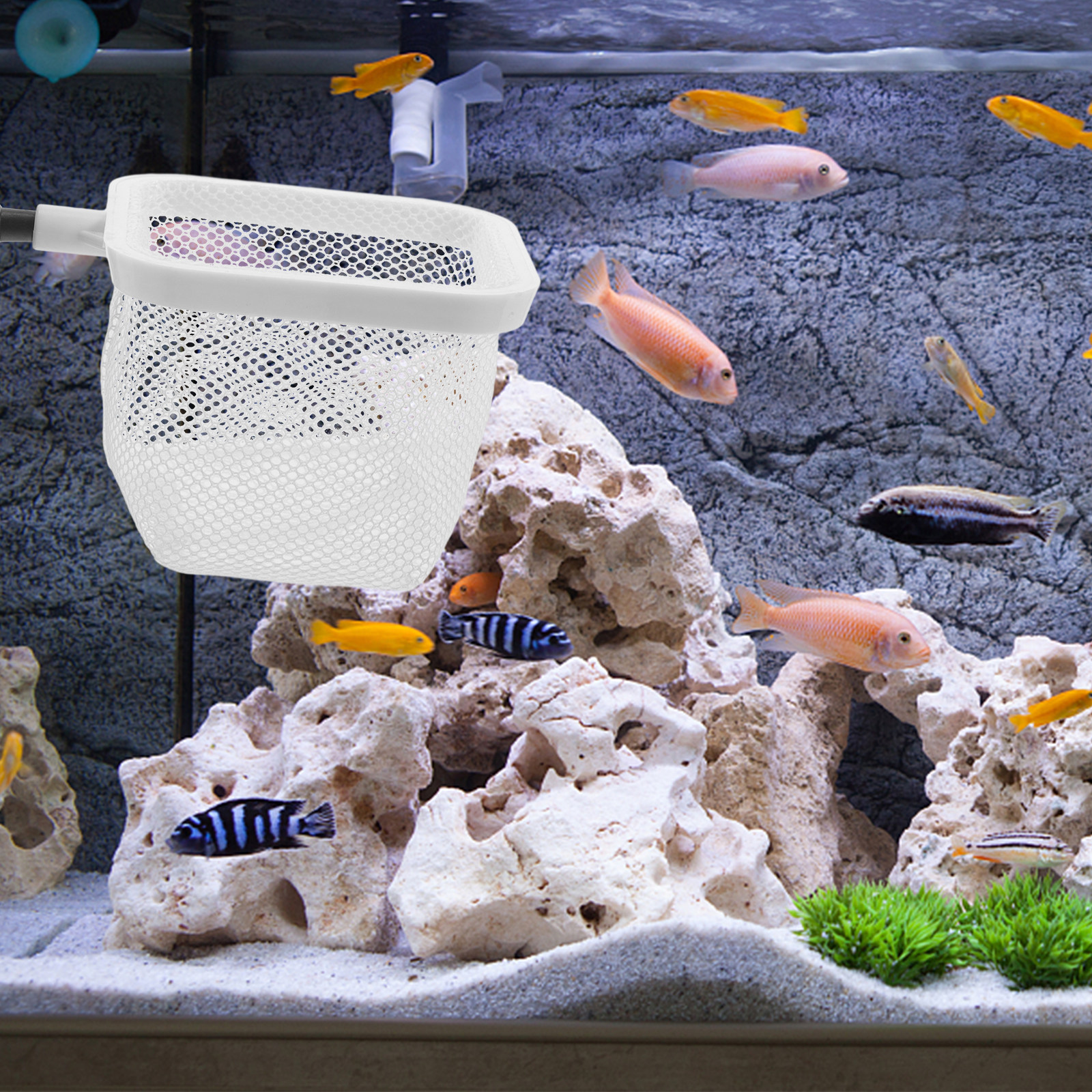Tank Divider Mesh - Fish Tank Isolation Net Large Square