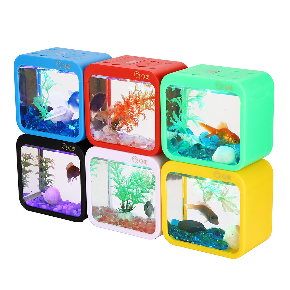 Colorful Creative Betta Box Wi – Aquarium Fish Betta recenzja i cena