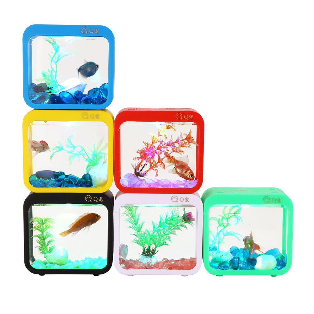 Colorful Creative Betta Box Wi – Aquarium Fish Betta recenzja i cena
