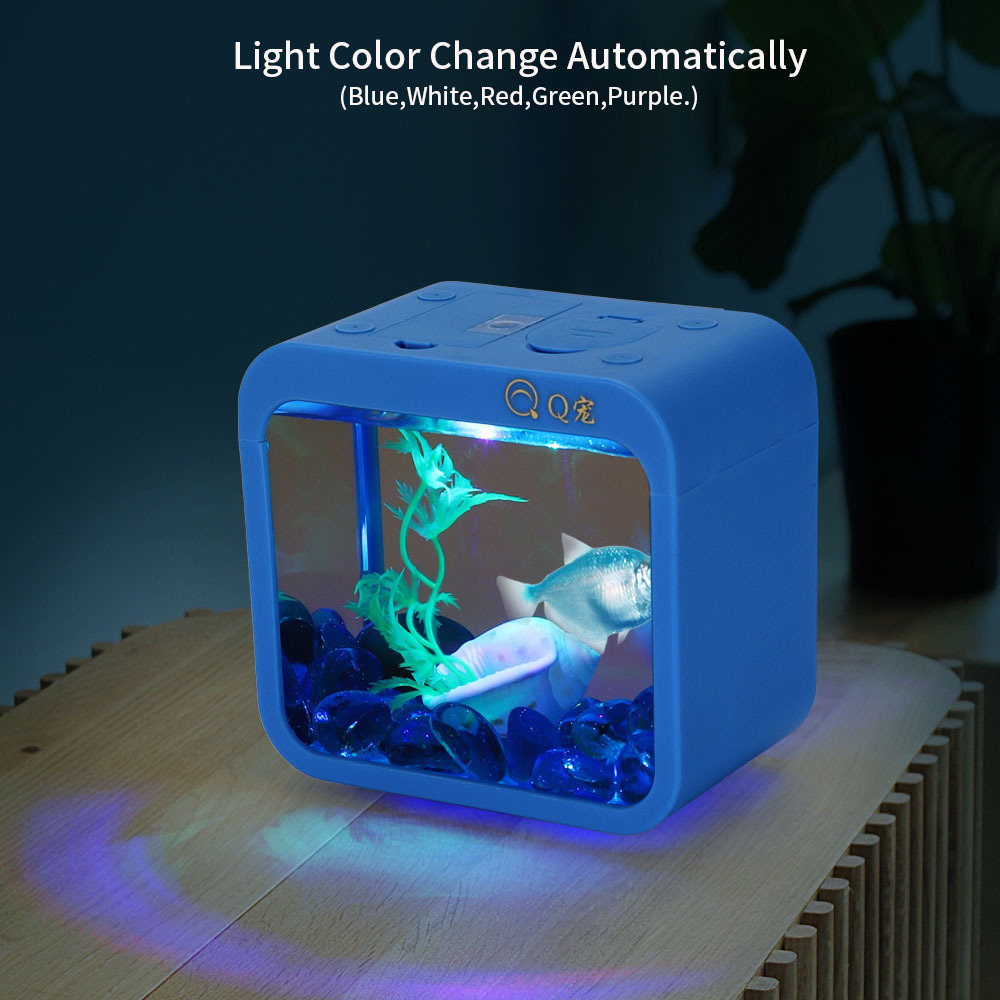 Colorful Creative Betta Box Wi – Aquarium Fish Betta recenzja i cena