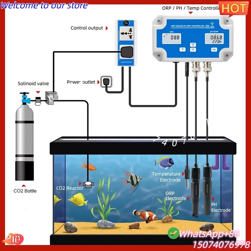 2026 Wireless WiFi Online Cont – Aquarium Fish In Online recenzja i cena