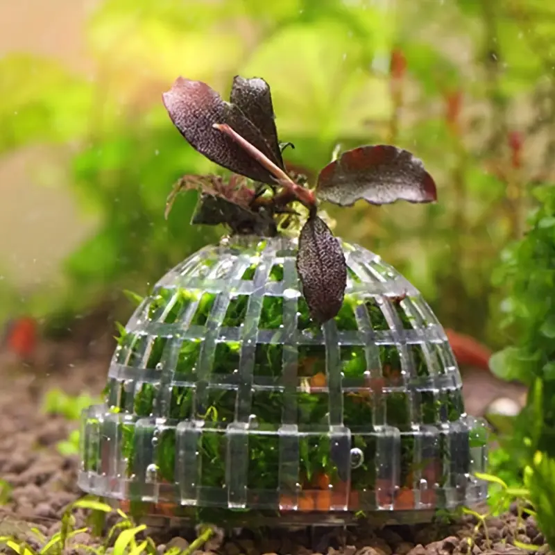 Plastic Aquarium Moss Ball Fil – Aquarium Fish Hide recenzja i cena