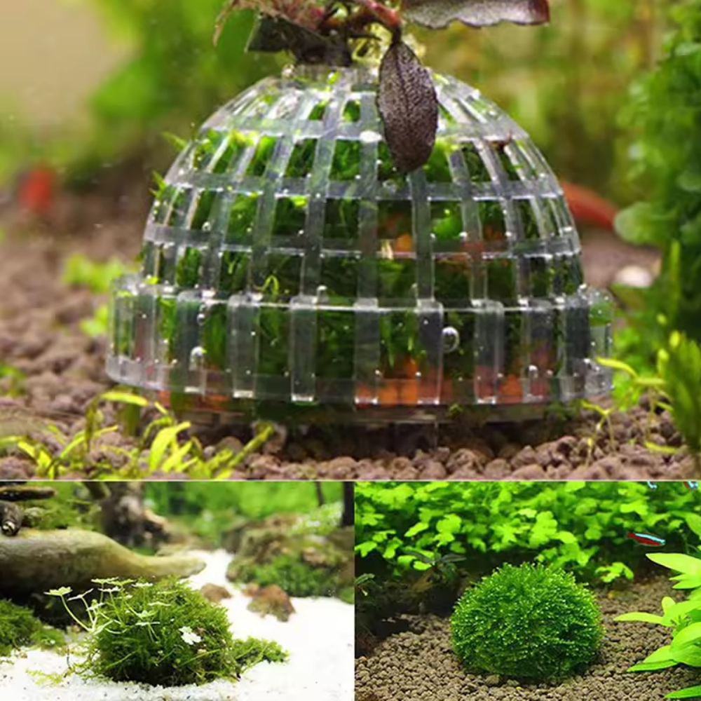 Plastic Aquarium Moss Ball Fil – Aquarium Fish Hide recenzja i cena