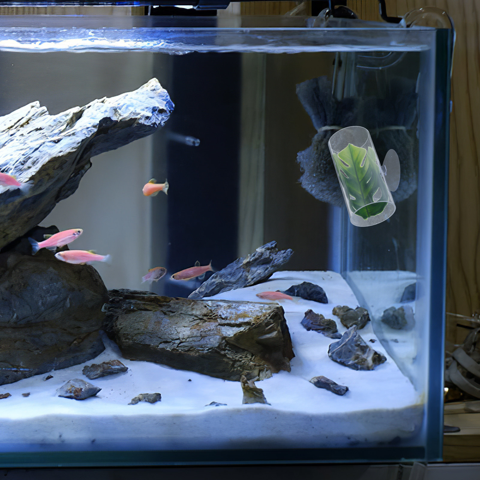Transparent Betta Fish Tube Tu – Fish Aquarium Youtube Relaxing recenzja i cena