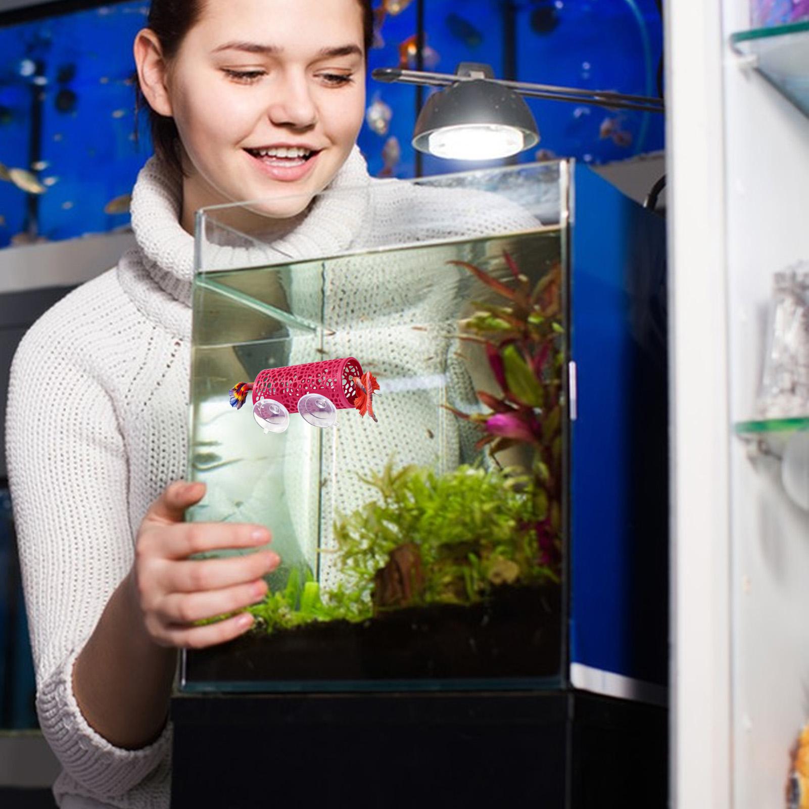 Betta Habitat Resting Shelter  – Aquarium Fish Betta recenzja i cena