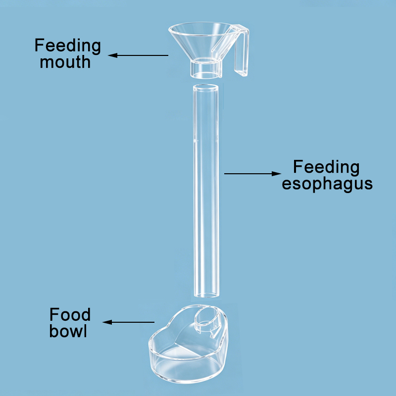 Acrylic Aquarium Fish Feeder T – Aquarium Fish Price recenzja i cena