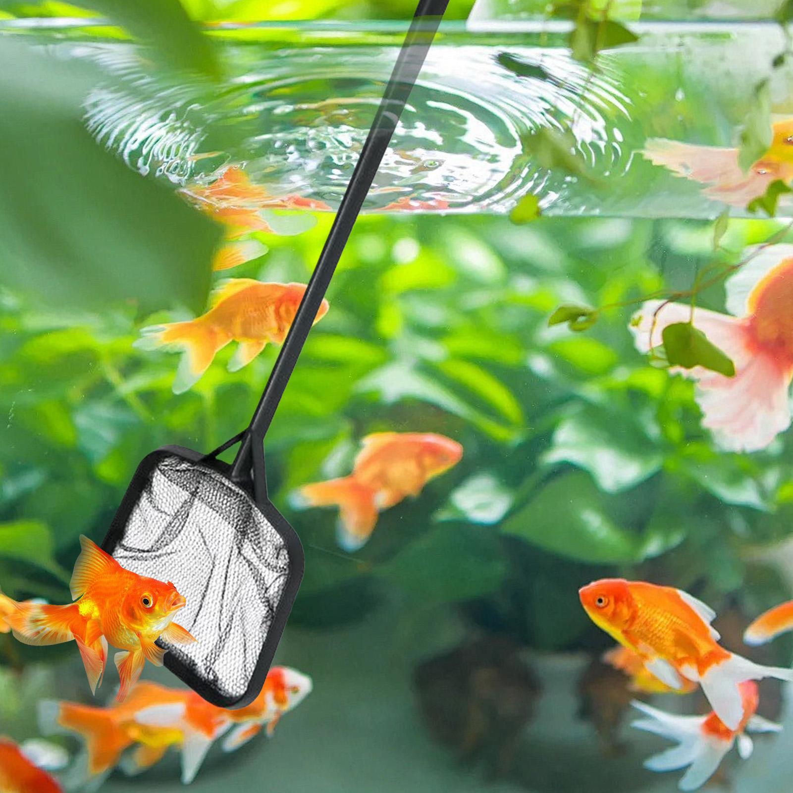 Pool Nets for Cleaning Portabl – Aquarium Fish House recenzja i cena
