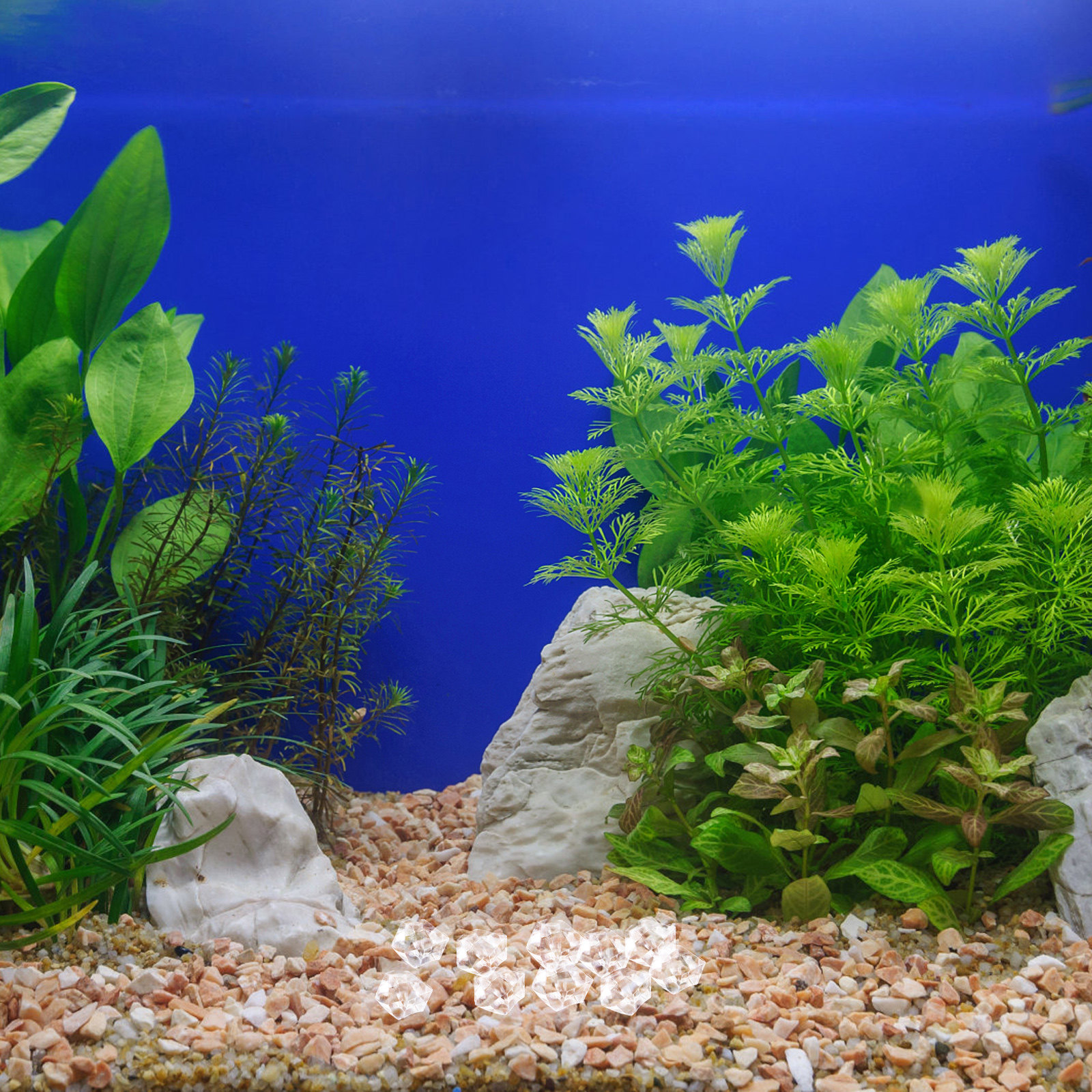 1Pack Transparent Resin Pearl  – Aquarium Fish Betta recenzja i cena