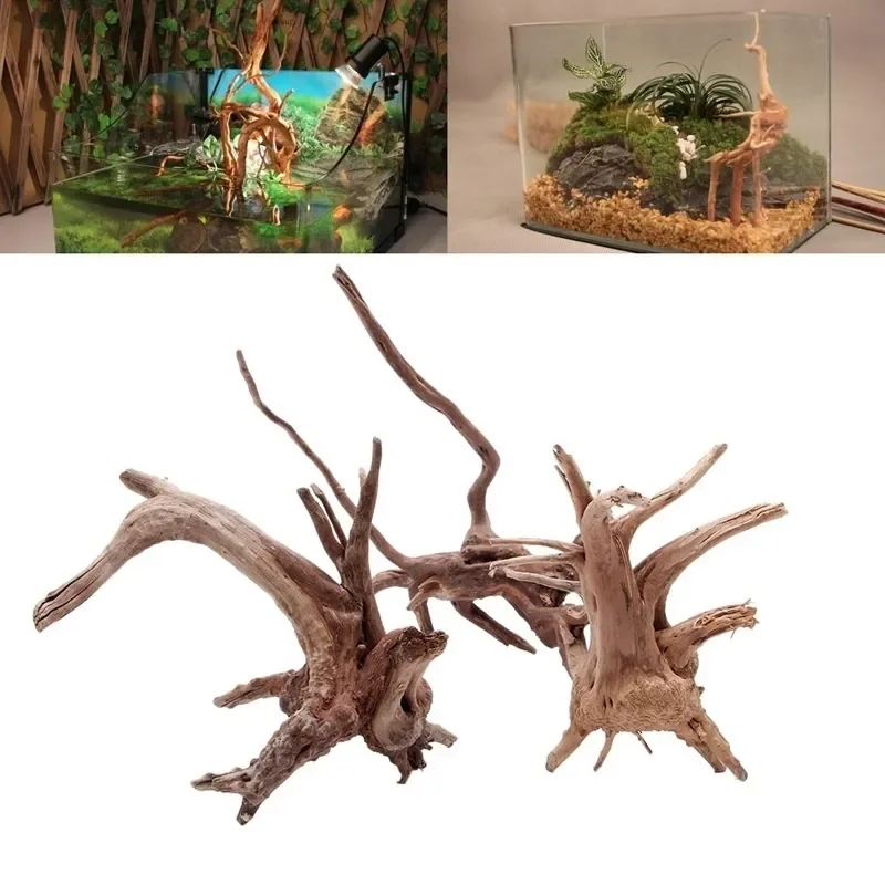 Natural Tree Trunk Driftwood A – Aquarium Fish Diseases recenzja i cena