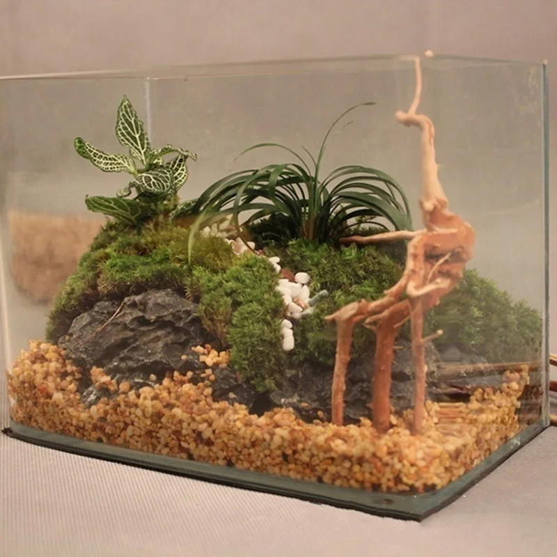 Natural Tree Trunk Driftwood A – Aquarium Fish Diseases recenzja i cena