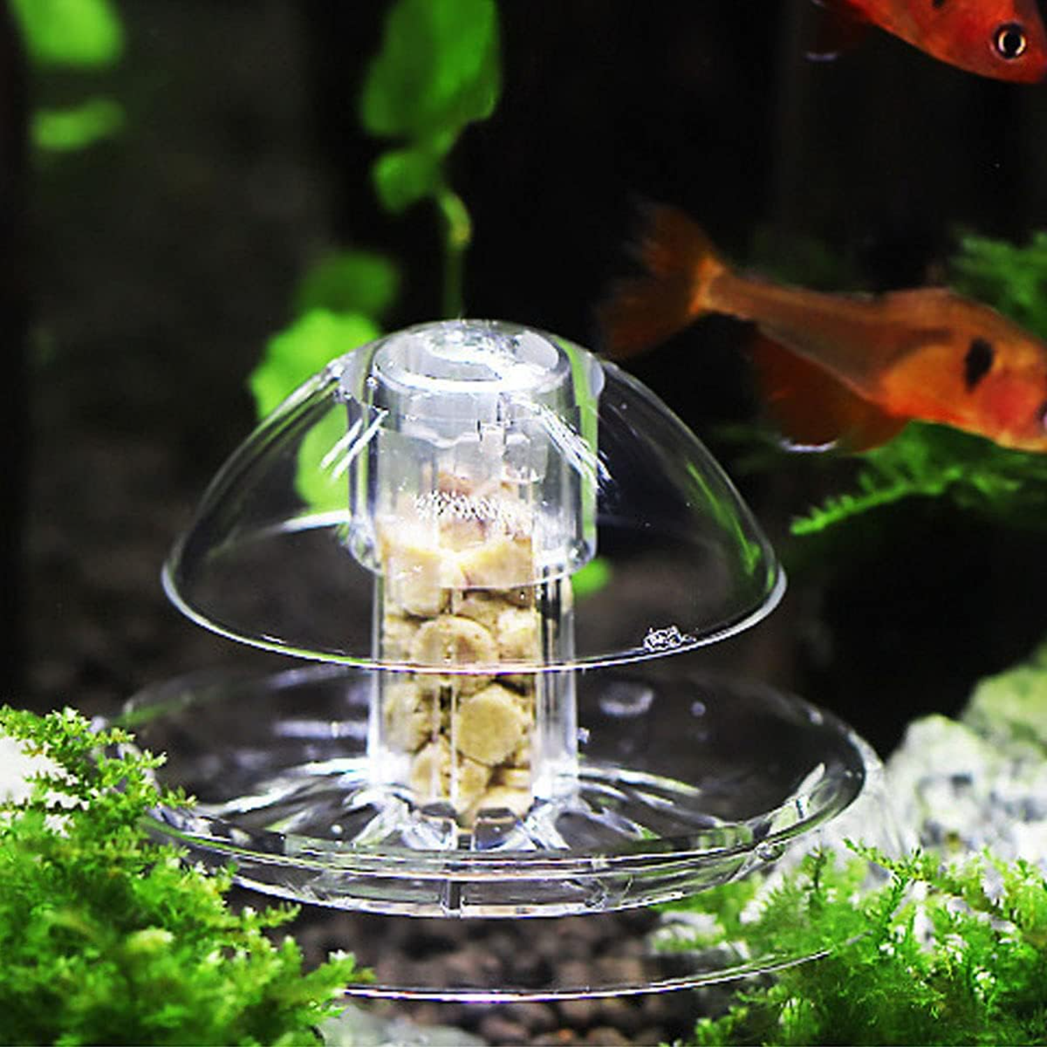 Ailindany Snail Trap Plastic T – Aquarium Fish In Online recenzja i cena