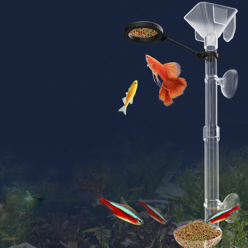 Acrylic Aquarium Fish Feeder T – Aquarium Fish Price recenzja i cena