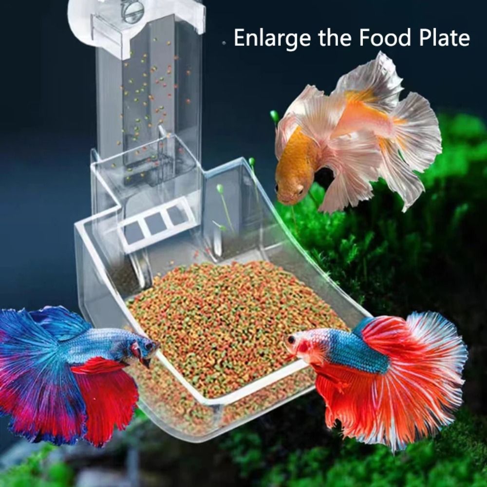 New Transparent Aquarium Fish  – Aquarium Fish Price recenzja i cena