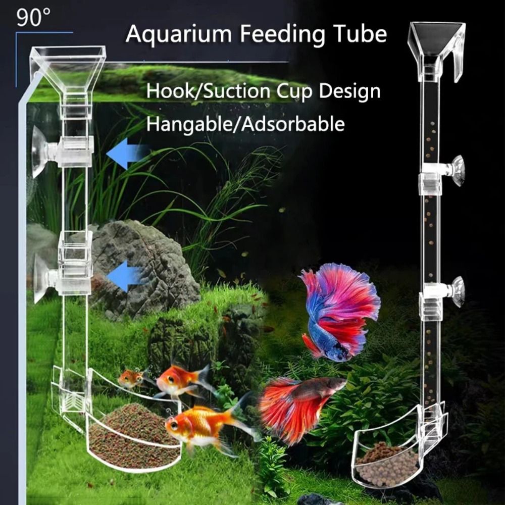 Transparent Aquarium Fish Tank – Aquarium Fish Price recenzja i cena