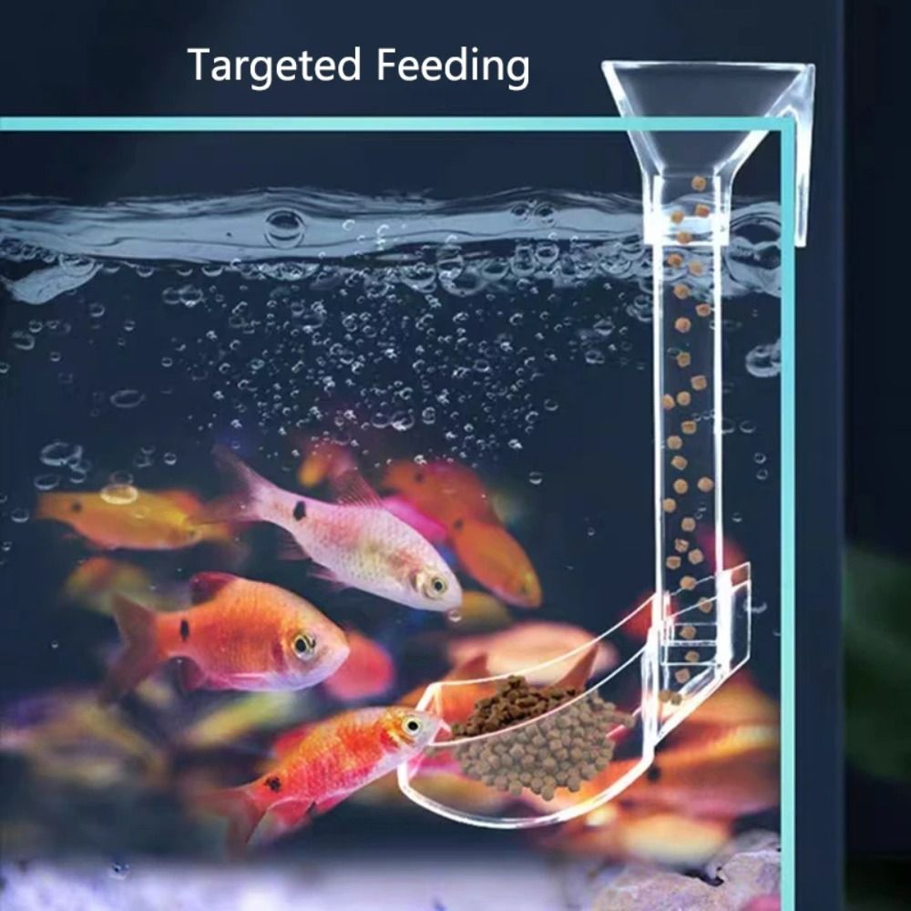Transparent Aquarium Fish Tank – Aquarium Fish Price recenzja i cena