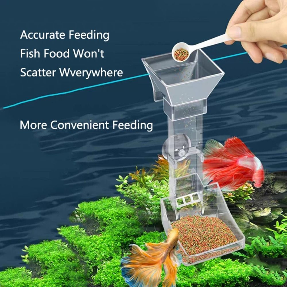 Transparent Aquarium Fish Tank – Aquarium Fish Price recenzja i cena