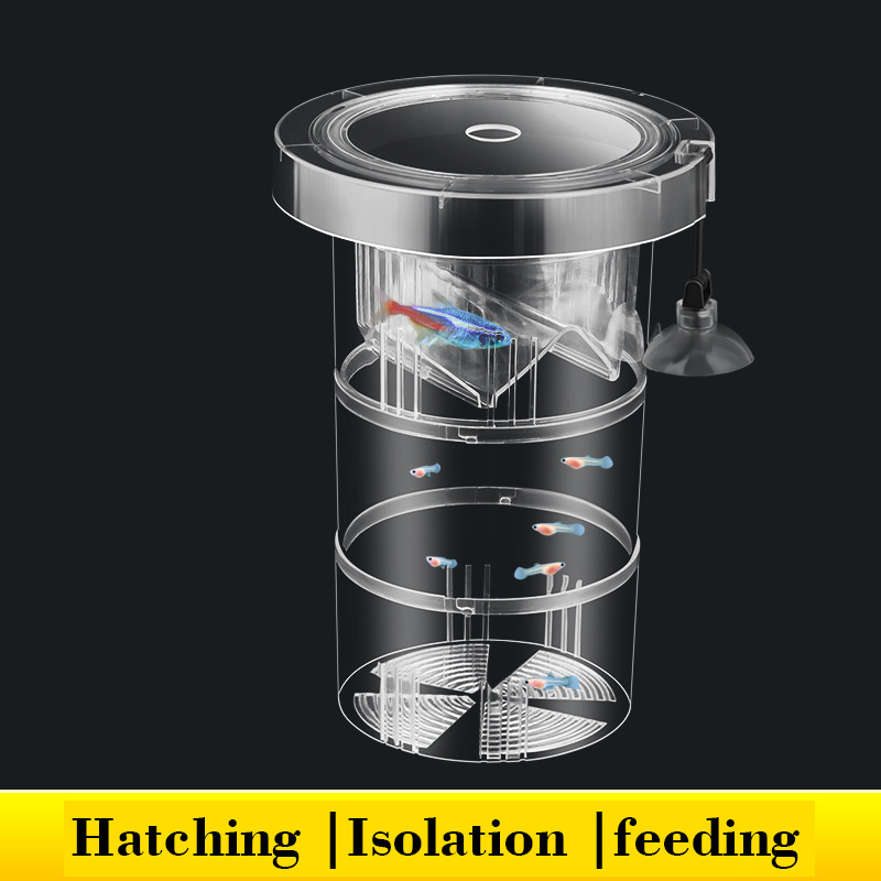 Floating Fish Breeding Isolati – Aquarium Fish Betta recenzja i cena