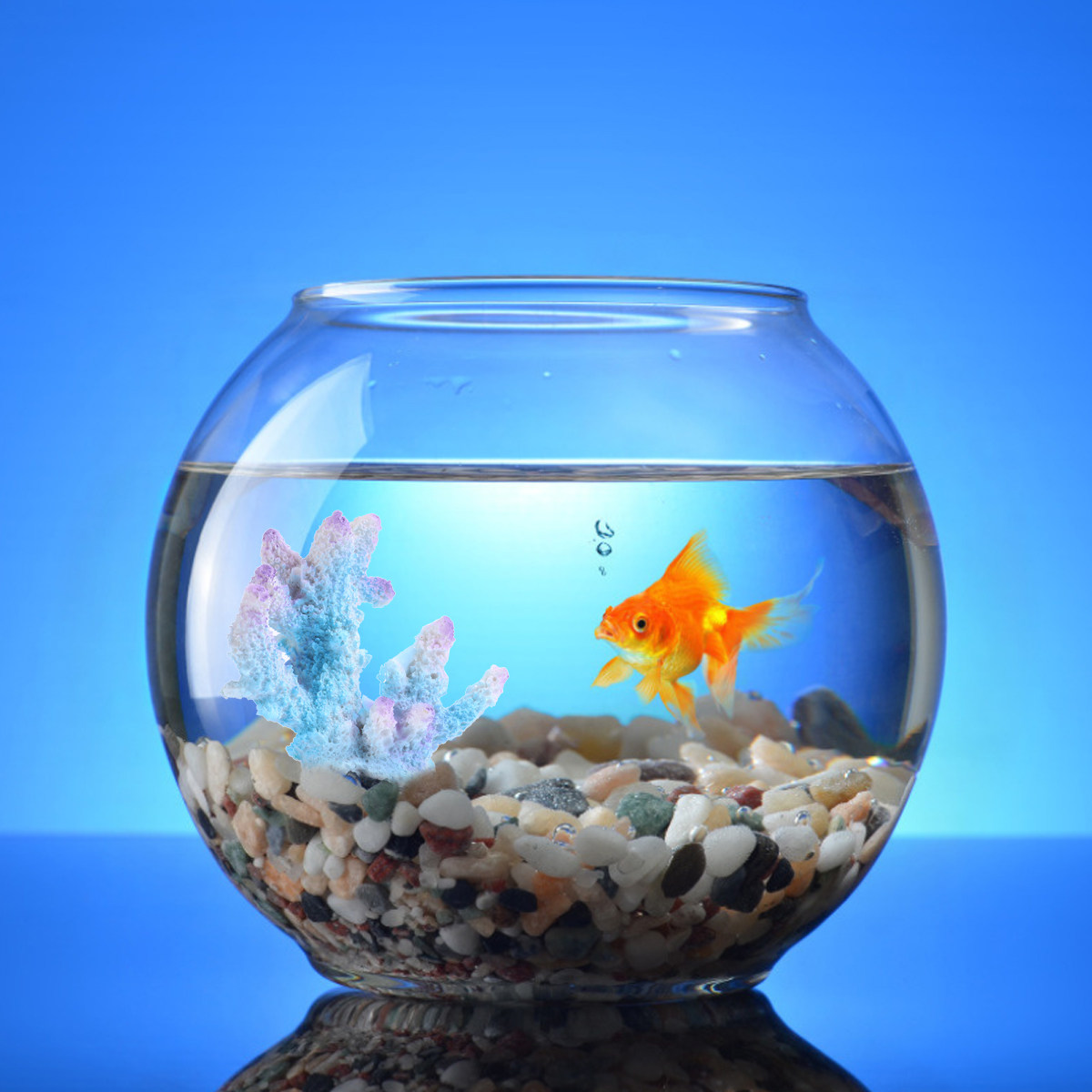 Creative Resin Aquarium Coral  – Aquarium Xl recenzja i cena