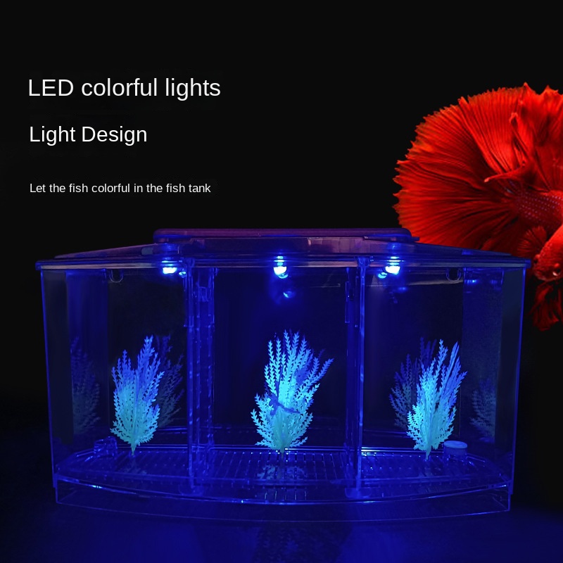 Mini Small Fish Tank Aquarium, – Aquarium Fish Betta recenzja i cena