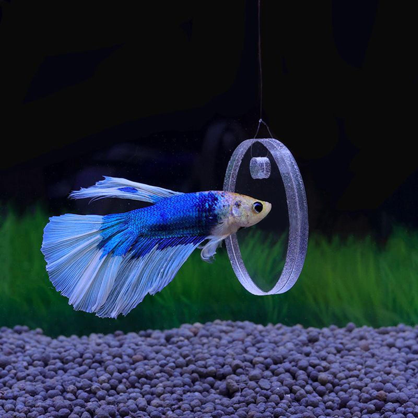 2Pcs Floating Feeding Ring Wit – Aquarium Fish Betta recenzja i cena