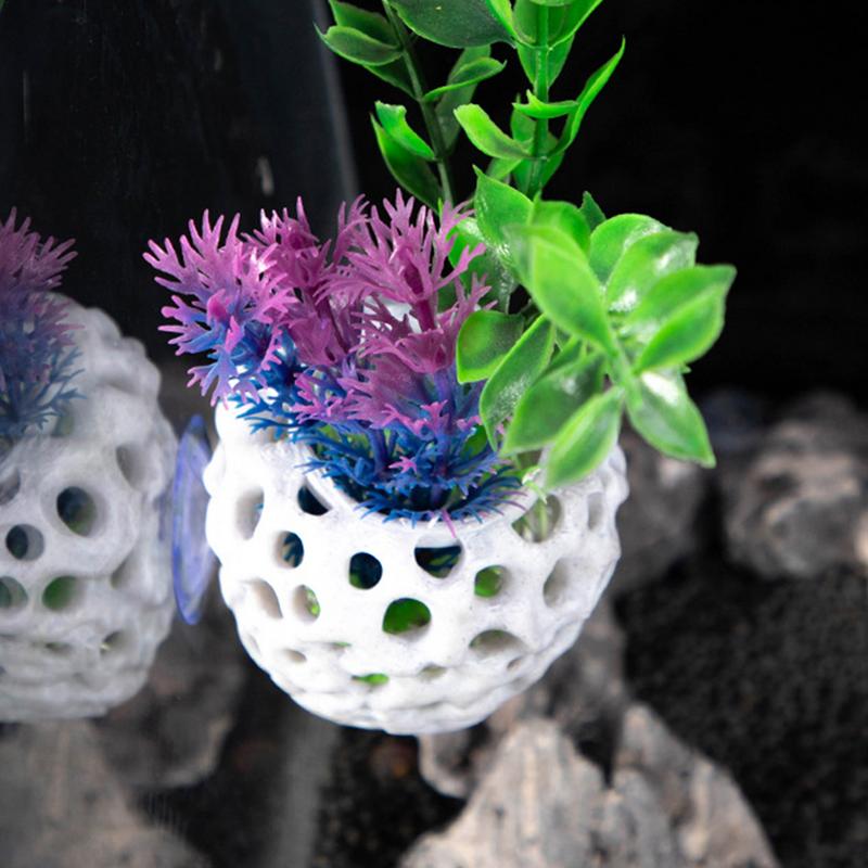 Small Aquarium shrimp house Ca – Aquarium Fish Hiding Spot recenzja i cena