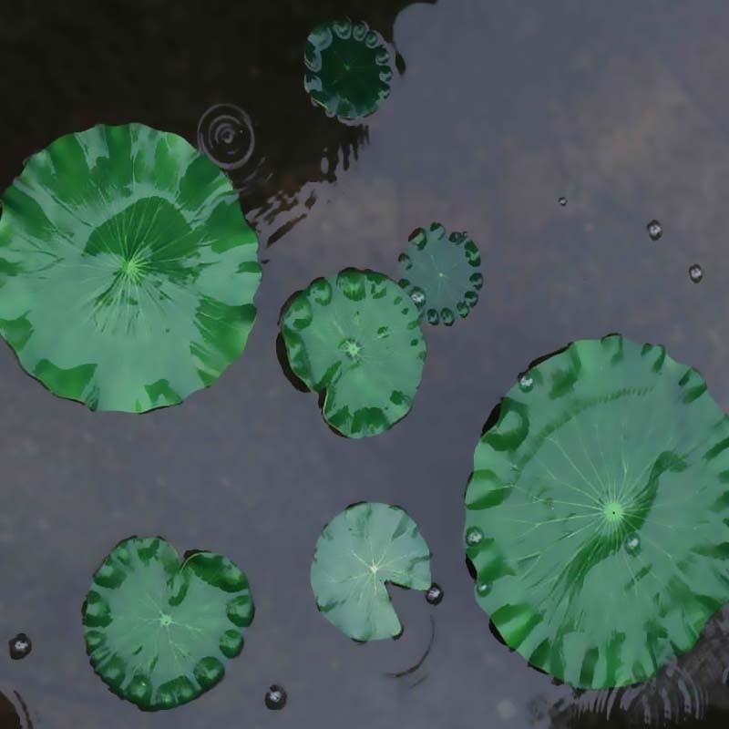 2026 Artificial Water Lily Lot – Aquarium Fish House recenzja i cena