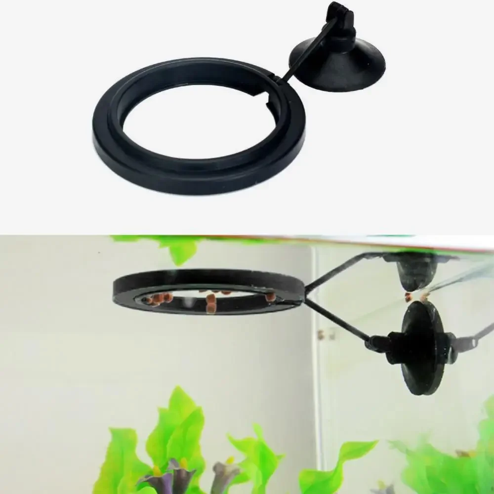 Feed Suction Cup Aquarium Feed – Aquarium Fish Price recenzja i cena