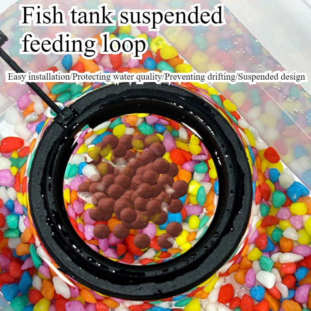 Feed Suction Cup Aquarium Feed – Aquarium Fish Price recenzja i cena