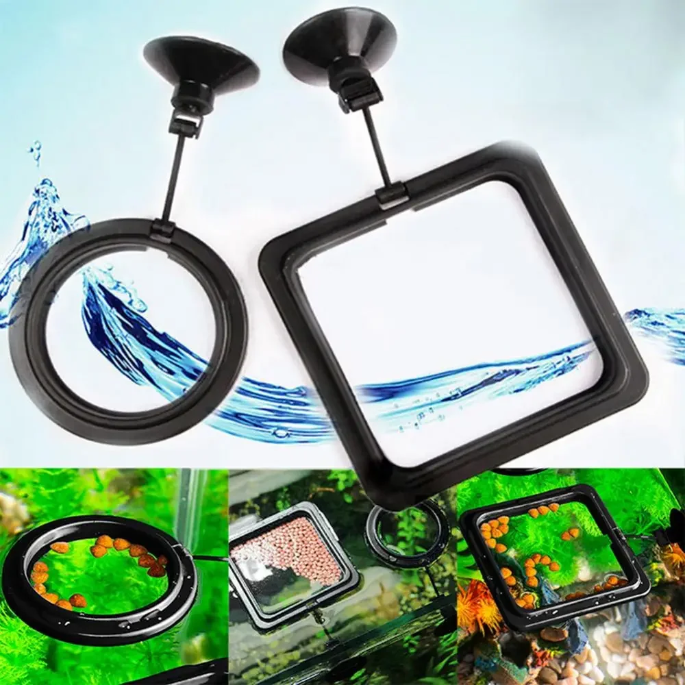 Feed Suction Cup Aquarium Feed – Aquarium Fish Price recenzja i cena