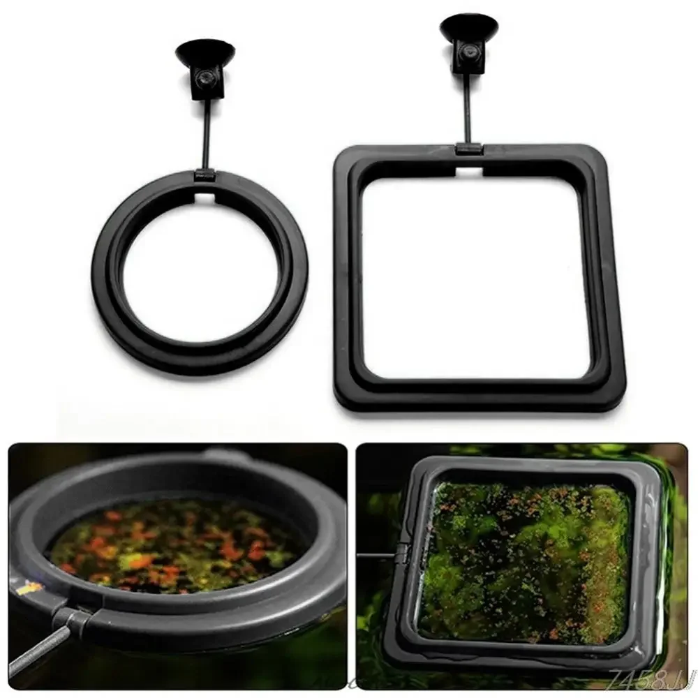 Feed Suction Cup Aquarium Feed – Aquarium Fish Price recenzja i cena