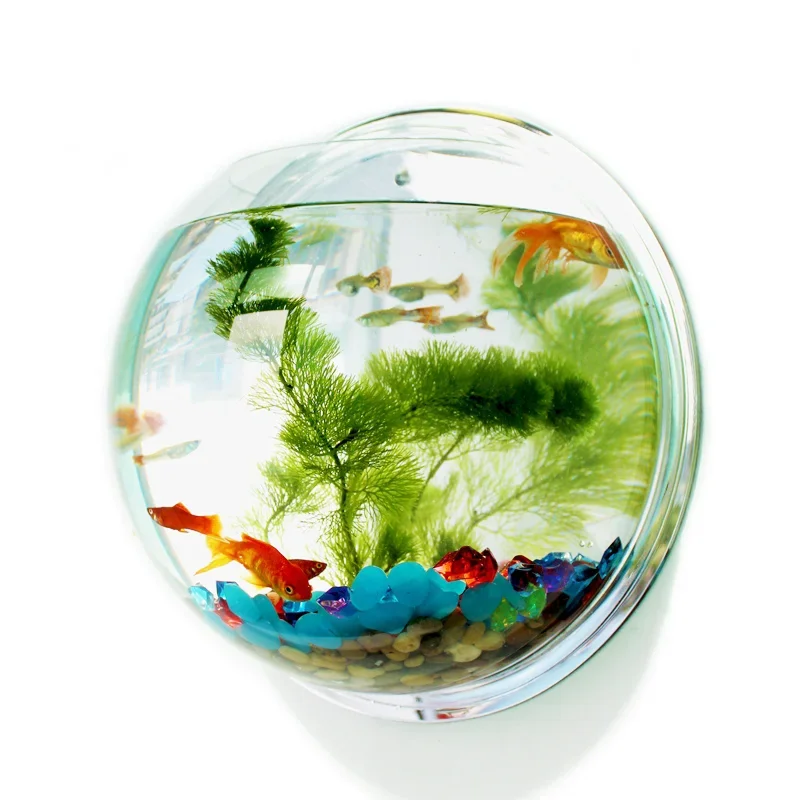 Pinsjar Acrylic Fish Bowl Wall – Aquarium Fish Betta recenzja i cena