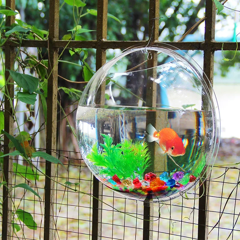 Pinsjar Acrylic Fish Bowl Wall – Aquarium Fish Betta recenzja i cena