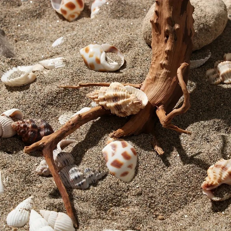 7-26CM 4 Sizes Driftwood Cucko – Aquarium Fish Diseases recenzja i cena