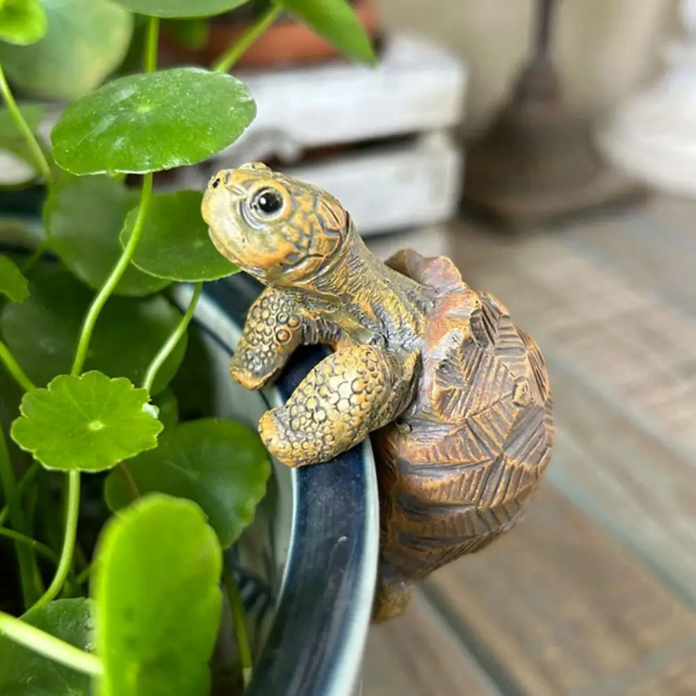 Fishing Turtle Hanging Turtle  – Aquarium Fish House recenzja i cena