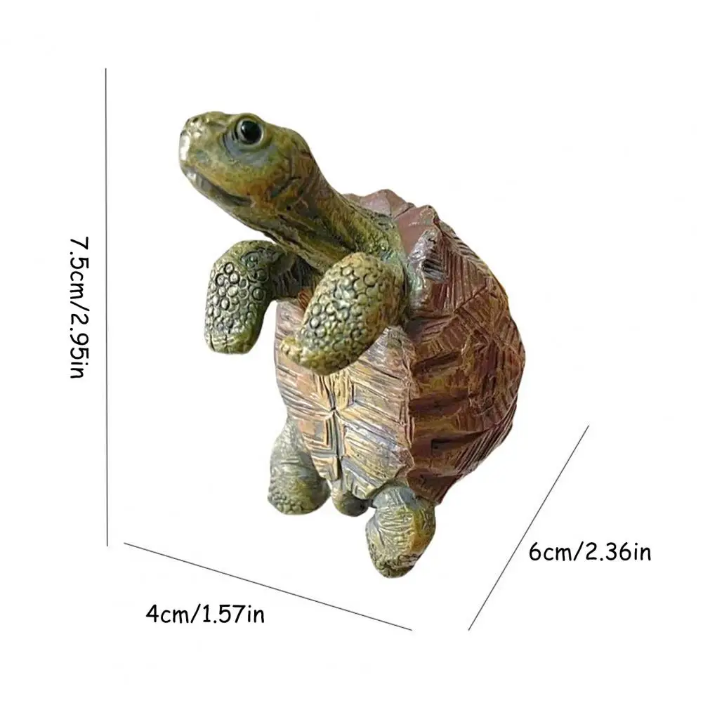Fishing Turtle Hanging Turtle  – Aquarium Fish House recenzja i cena