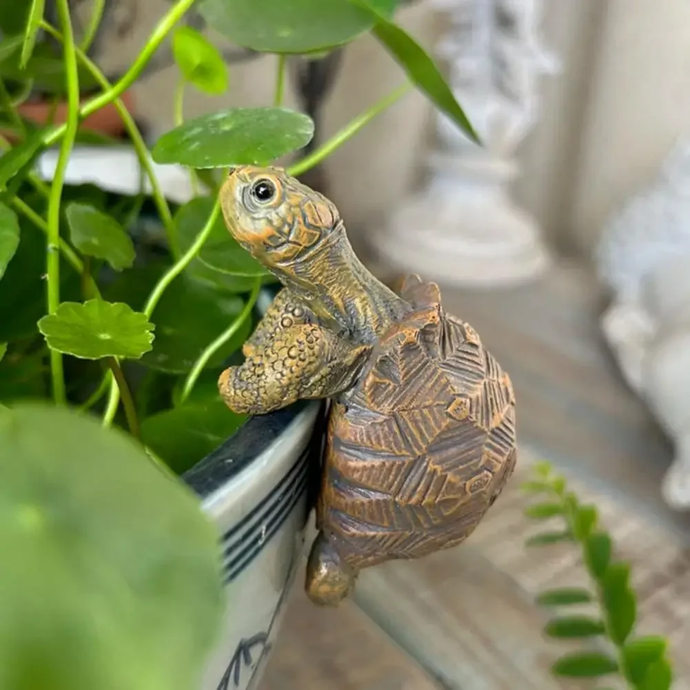Fishing Turtle Hanging Turtle  – Aquarium Fish House recenzja i cena
