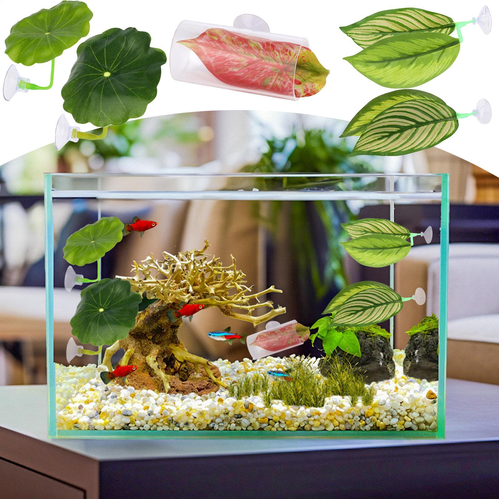 Betta Fish Hammock 5 Pieces Ad – Aquarium Fish Betta recenzja i cena