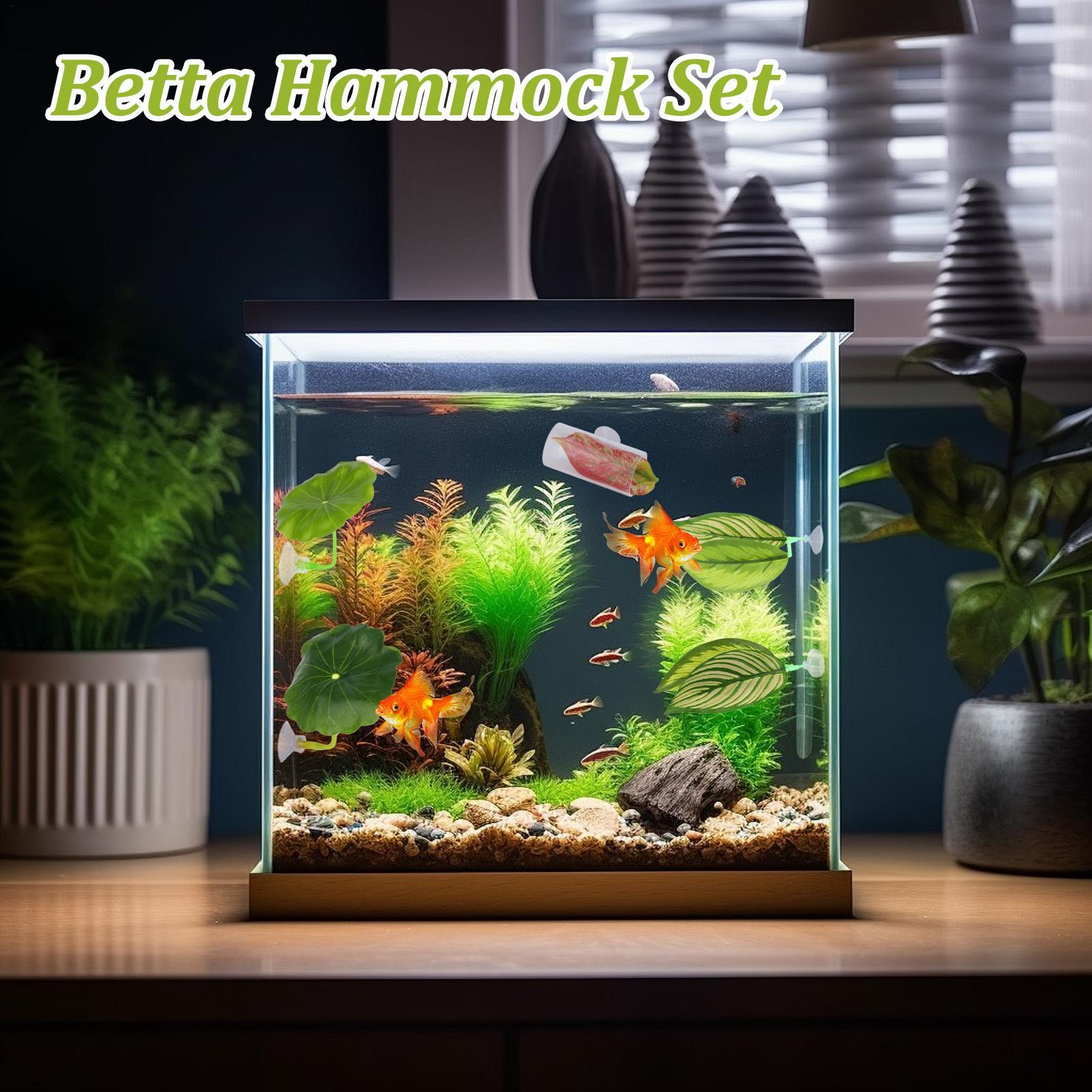 Betta Fish Hammock 5 Pieces Ad – Aquarium Fish Betta recenzja i cena