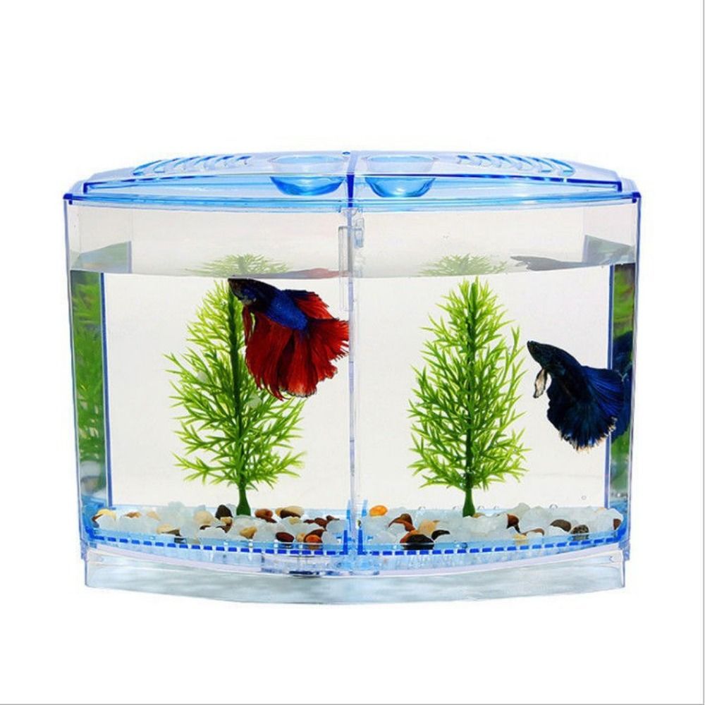 Transparent Betta Fish Tank, D – Aquarium Fish Betta recenzja i cena
