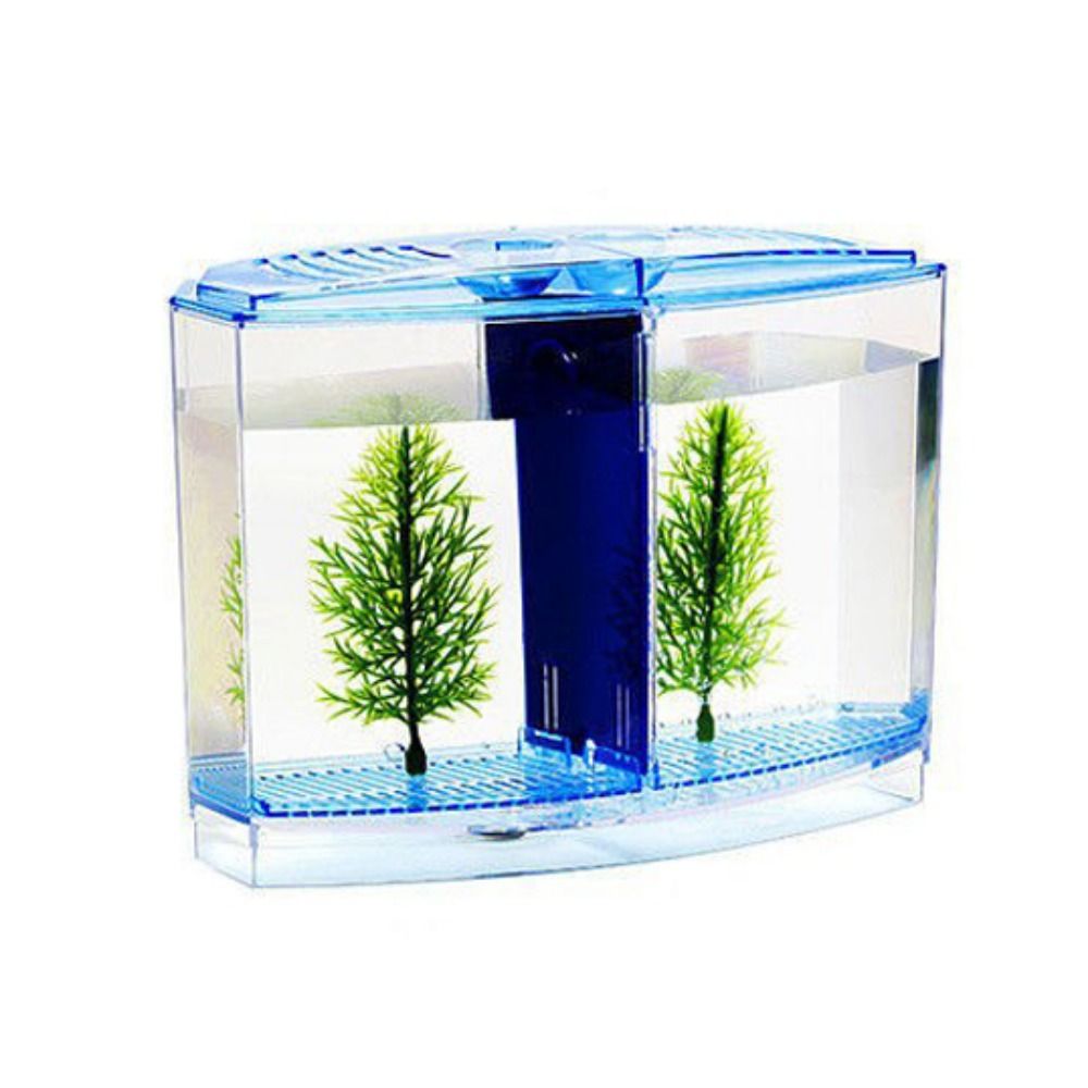 Transparent Betta Fish Tank, D – Aquarium Fish Betta recenzja i cena