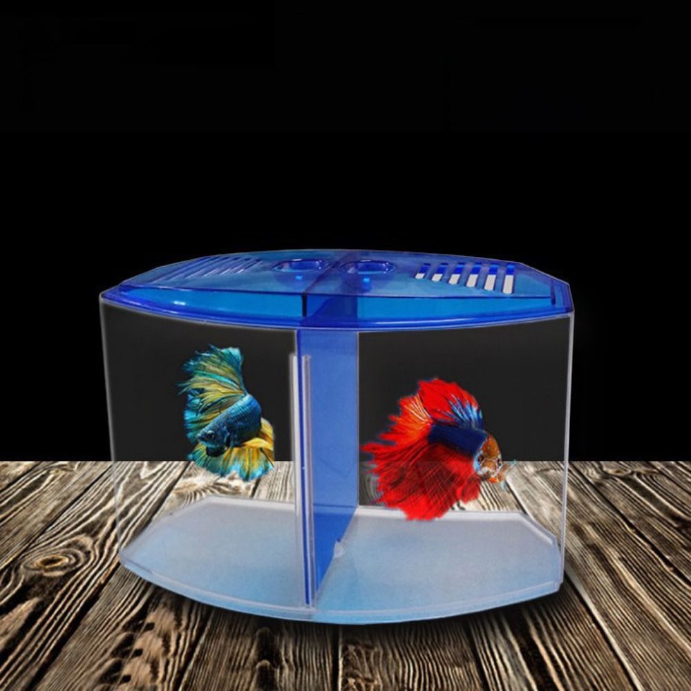 Transparent Betta Fish Tank, D – Aquarium Fish Betta recenzja i cena