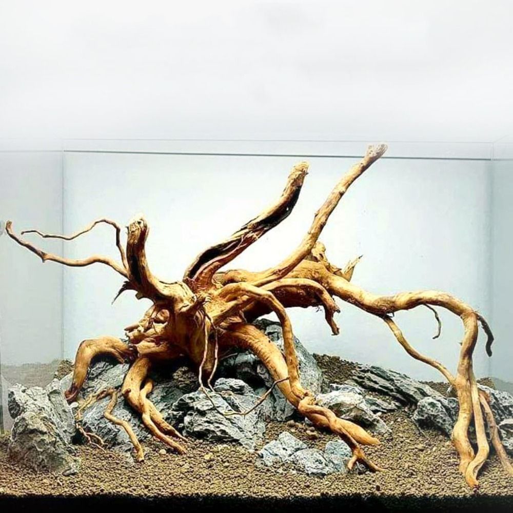 Natural Tree Trunk Aquarium De – Aquarium Fish Hide recenzja i cena