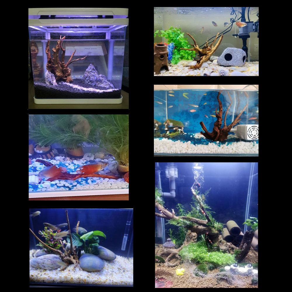 Natural Tree Trunk Aquarium De – Aquarium Fish Hide recenzja i cena