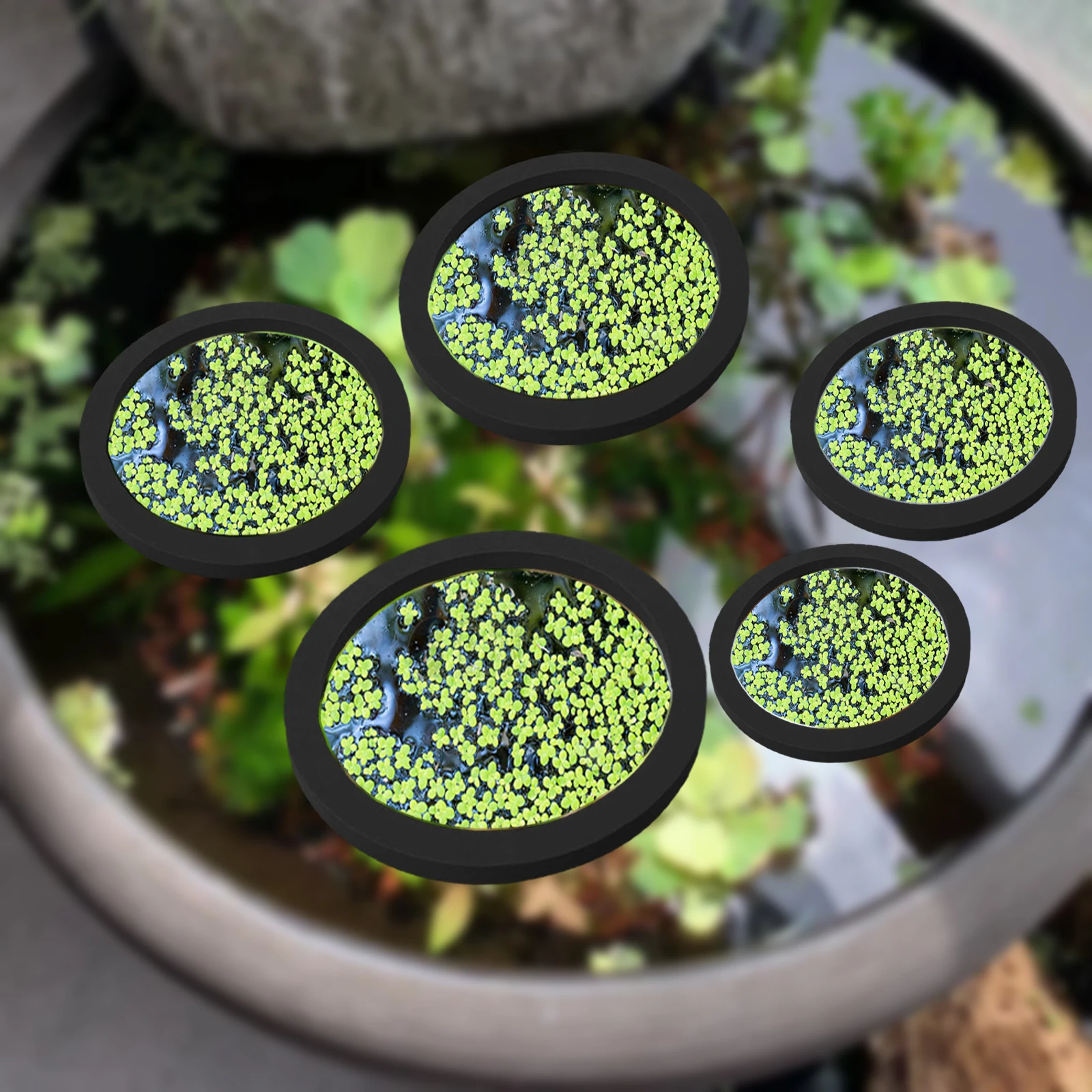 5Pcs EVA Fish Feeding Ring Aqu – Aquarium Fish House recenzja i cena
