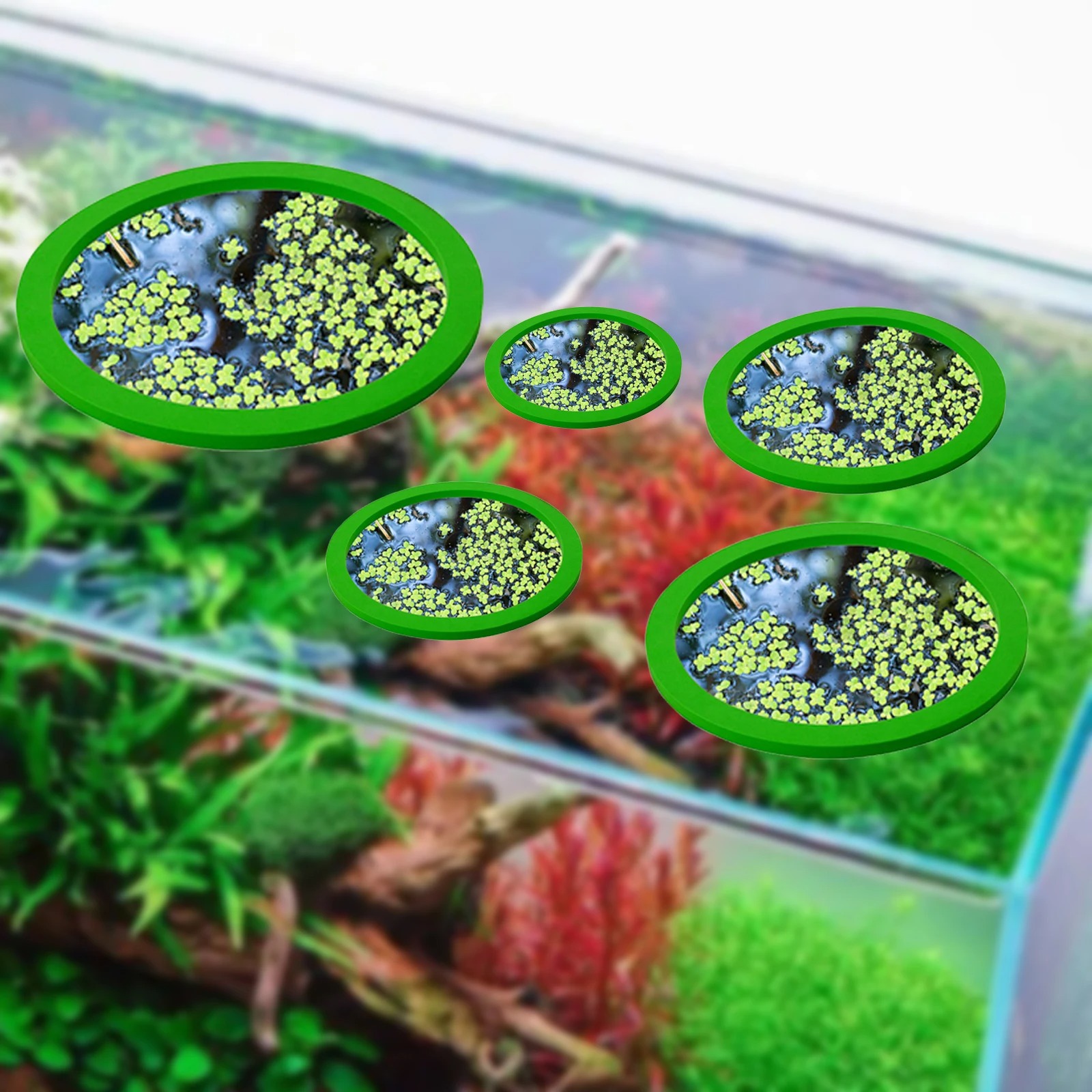 5Pcs EVA Fish Feeding Ring Aqu – Aquarium Fish House recenzja i cena