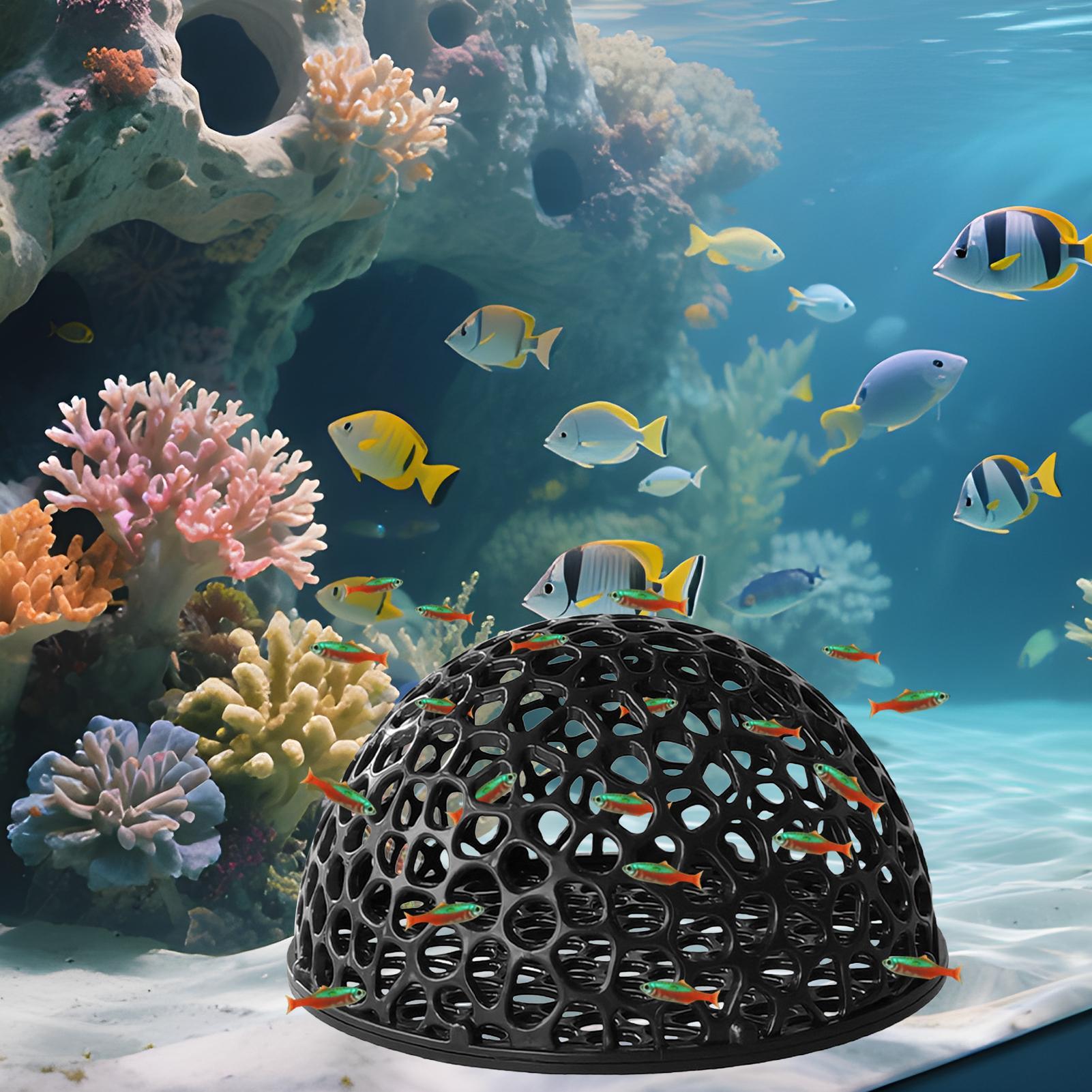 Aquarium Shrimp House Cave Min – Aquarium Fish Hiding Spot recenzja i cena