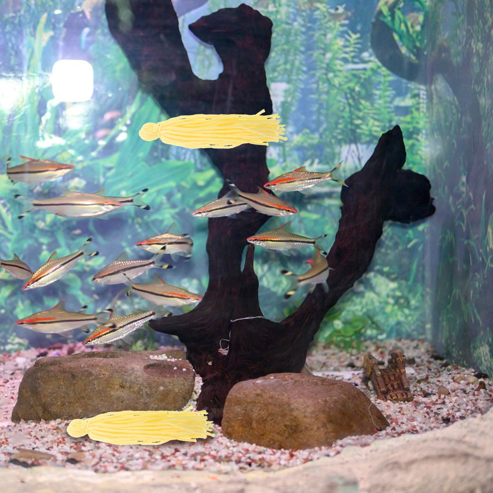 10Pcs Fish Tank Breeding Mop S – Aquarium Fish Hiding Spot recenzja i cena