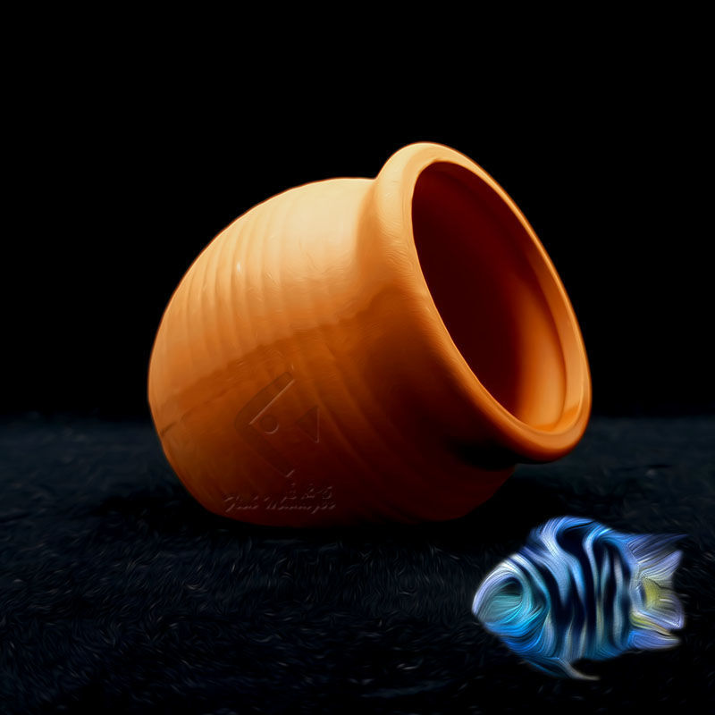 Aquarium Mini Ceramic Tank Fis – Aquarium Fish Hide recenzja i cena