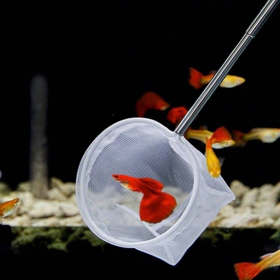 Aquarium Fish Net - a Retracta – Aquarium Fish Price recenzja i cena