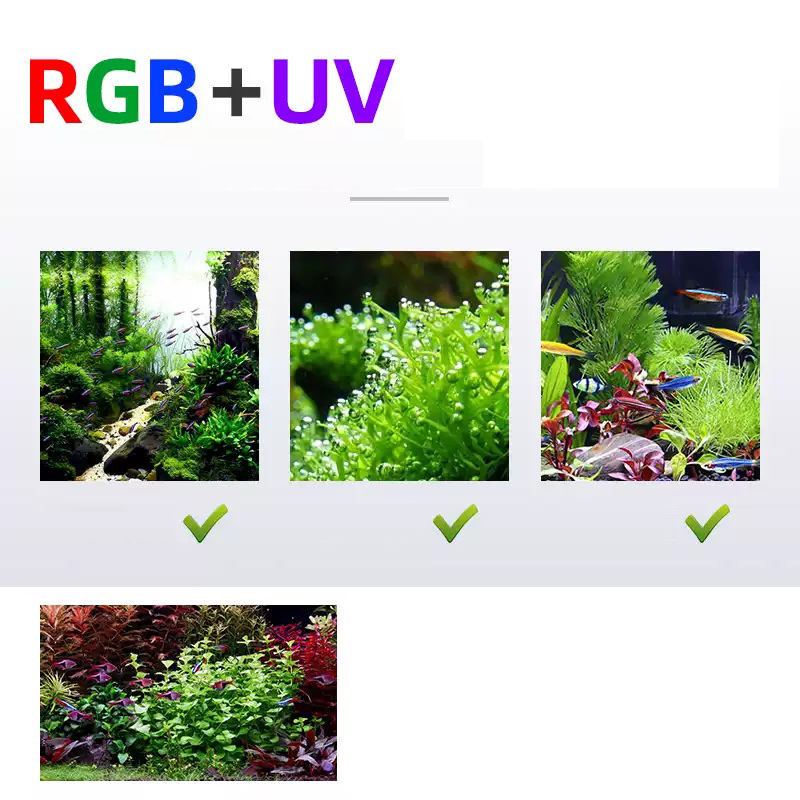 Led Lighting 60cm 80cm 90cm RG – Aquarium Fish Price recenzja i cena